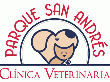 Veterinarias en San Andrés, Colombia 1 veterinarias en san andres colombia