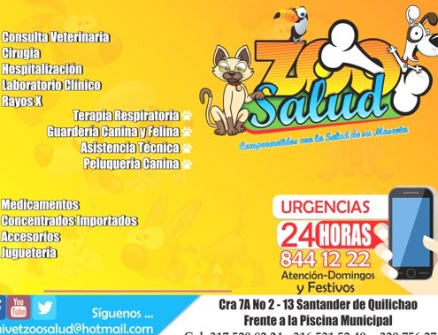 Veterinarias en Santander de Quilichao, Colombia 1 veterinarias en santander de quilichao colombia