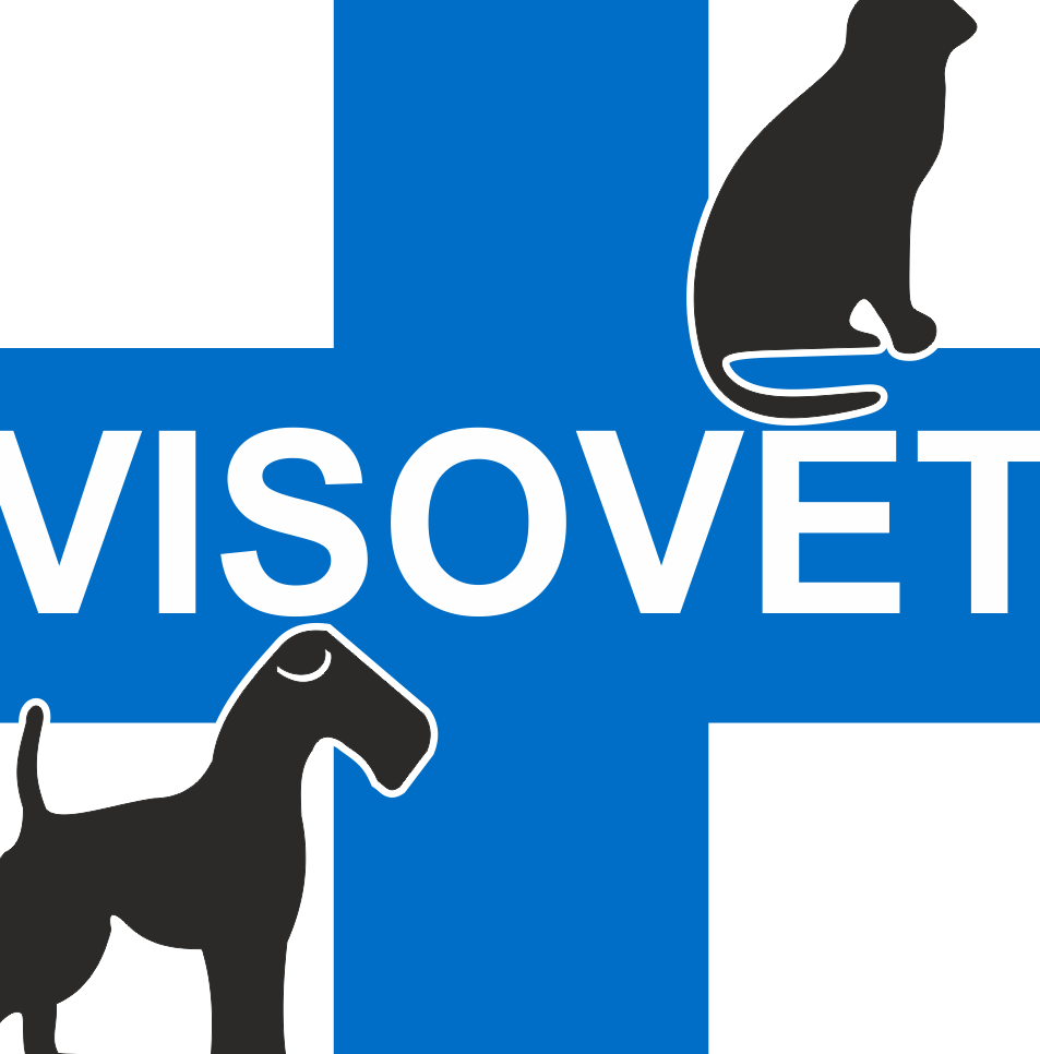 Veterinarias en Sevilla, Colombia 1 veterinarias en sevilla colombia