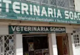 Veterinarias en Soacha, Colombia 1 veterinarias en soacha colombia