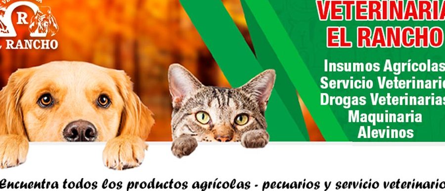 Veterinarias en Socorro, Colombia 1 veterinarias en socorro colombia