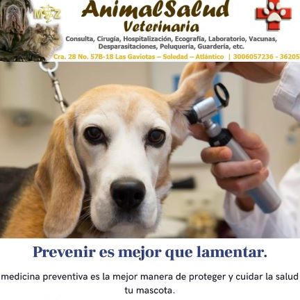 Veterinarias en Soledad, Colombia 1 veterinarias en soledad colombia