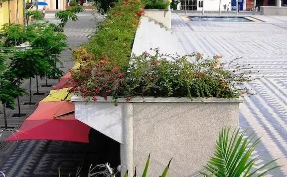 Veterinarias en Sucre, Colombia 1 veterinarias en sucre colombia