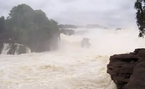 Veterinarias en Vaupés, Colombia 1 veterinarias en vaupes colombia