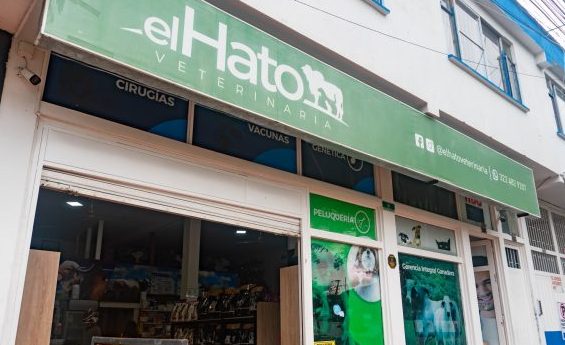 Veterinarias en Yopal, Colombia 1 veterinarias en yopal colombia