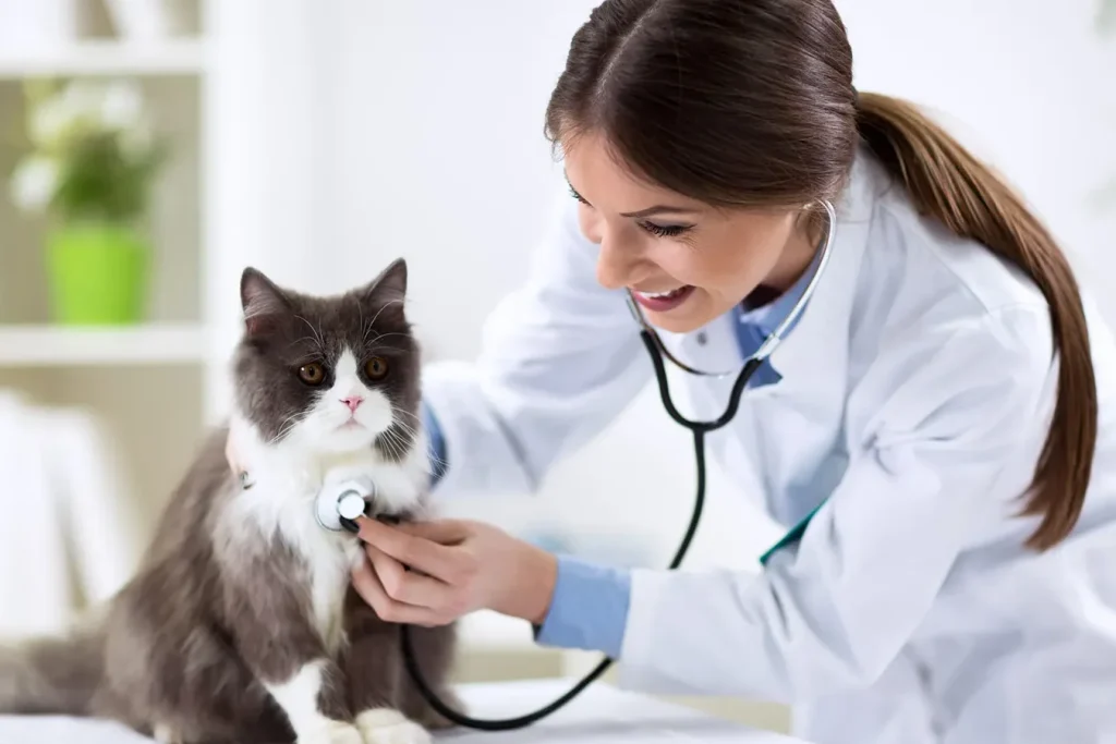 Veterinario Fernando Medina 1 veterinario fernando medina