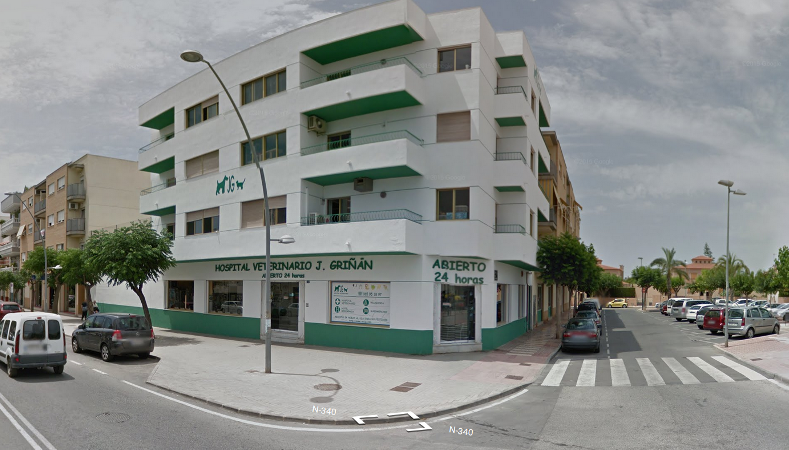 veterinario jg 1 veterinario jg