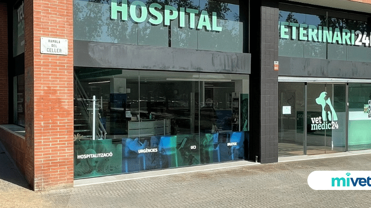 VetMedic Clínica Veterinaria 1 vetmedic clinica veterinaria