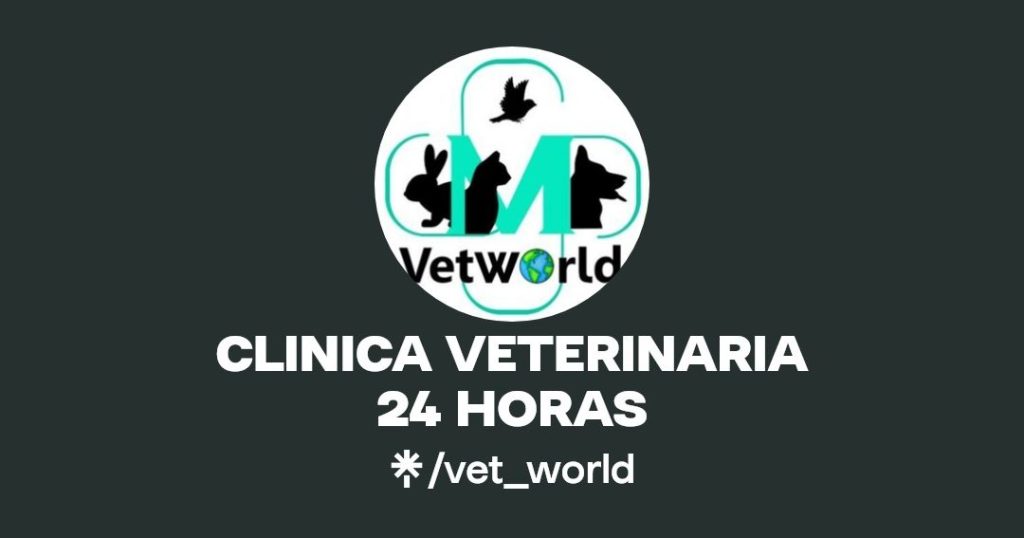VETWORLD CLINICA VETERINARIA 1 vetworld clinica veterinaria