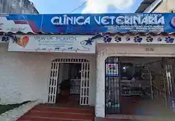 Vida de Perros Centro Veterinario 1 vida de perros centro veterinario