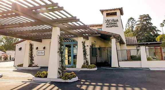 Villa Animal Veterinaria 1 villa animal veterinaria