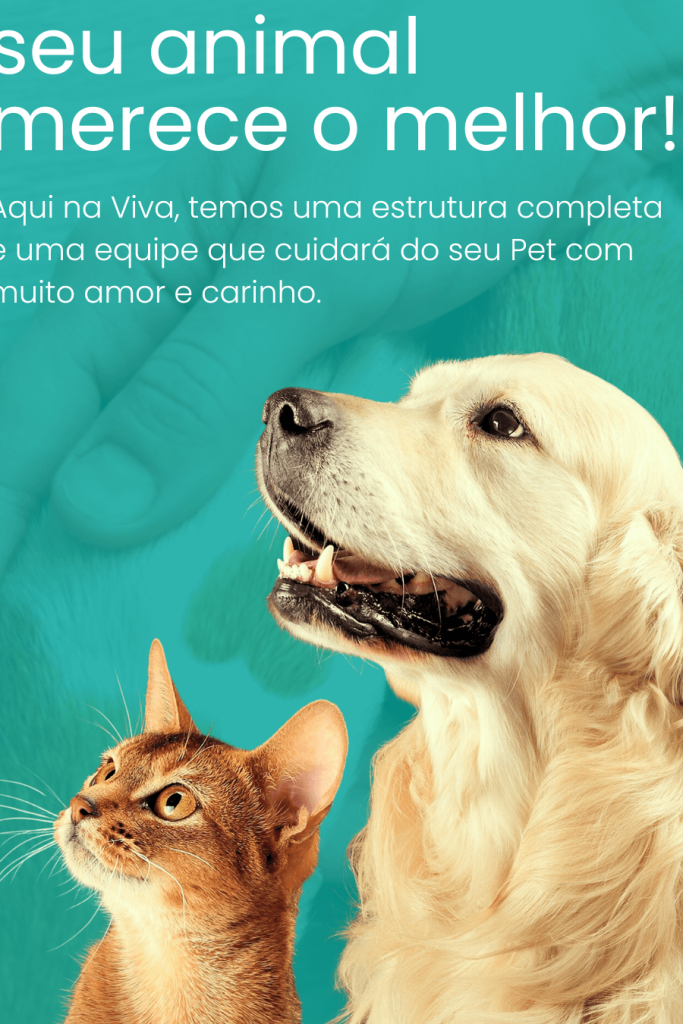 VIVA PET CLINICA VETERINARIA 1 viva pet clinica veterinaria