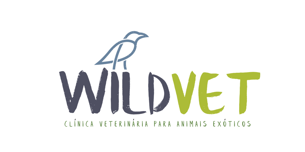 WILD VET Clinica Veterinaria 1 wild vet clinica veterinaria