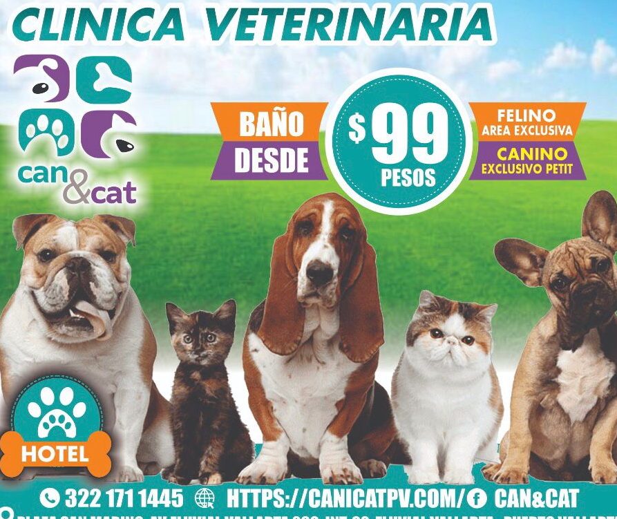 YazVet Veterinaria y Spa 1 yazvet veterinaria y spa