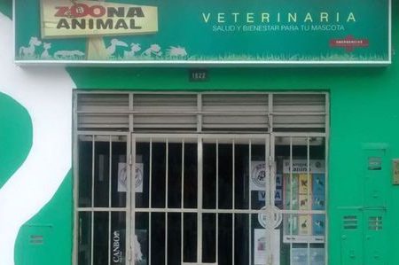 Zoona veterinaria 1 zoona veterinaria